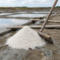 Celtic Sea Salt Fine - Natural Gourmet Mineral Salt | 400g